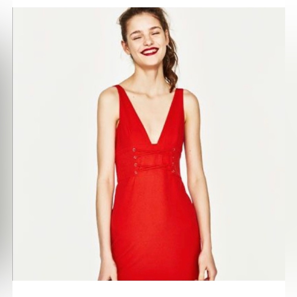 Zara Mini Bodycon Dress